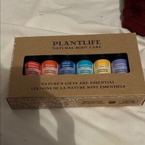 Aromatherapy Massage Oil Set - Multi-Color